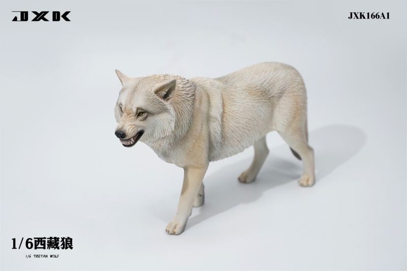 Tibetan Wolf 1/6