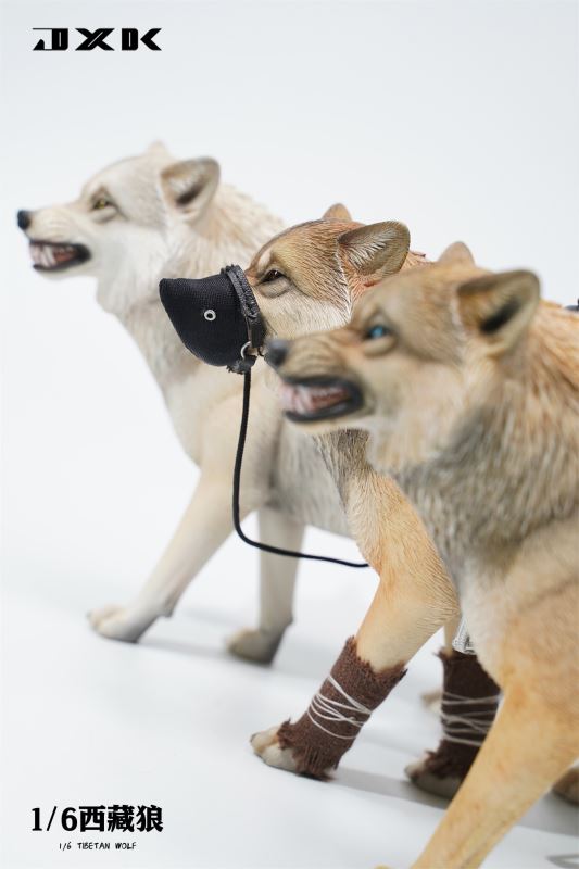 Tibetan Wolf 1/6