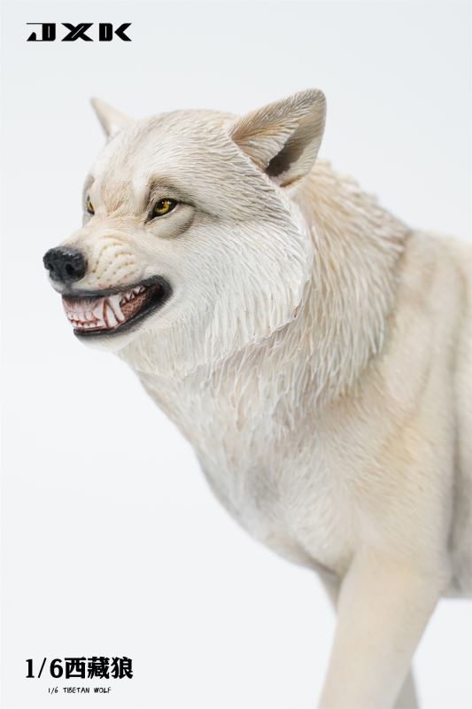 Tibetan Wolf 1/6