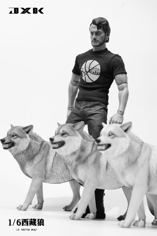Tibetan Wolf 1/6