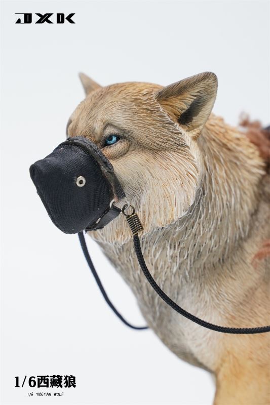Tibetan Wolf 1/6