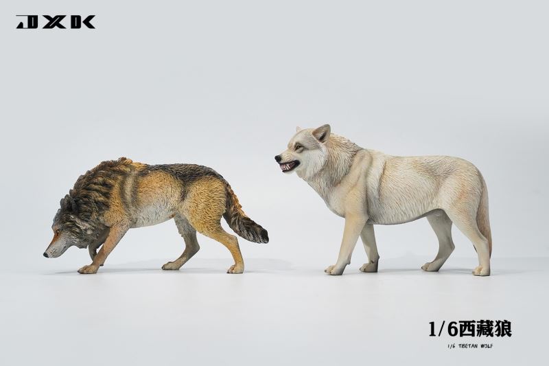 Tibetan Wolf 1/6