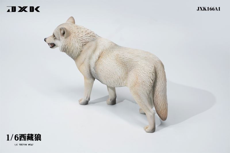 Tibetan Wolf 1/6