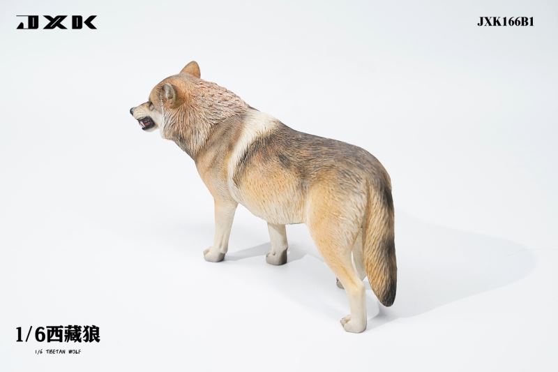 Tibetan Wolf 1/6