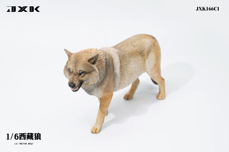 Tibetan Wolf 1/6