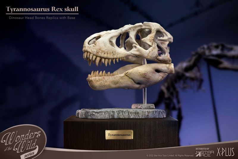 Wonder Wild Series Statue - Tyrannosaurus / Spinosaurus Skull Fossil