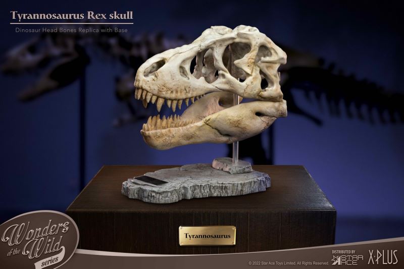 Wonder Wild Series Statue - Tyrannosaurus / Spinosaurus Skull Fossil