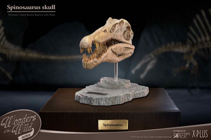 Wonder Wild Series Statue - Tyrannosaurus / Spinosaurus Skull Fossil
