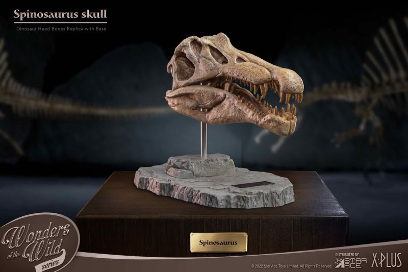 Wonder Wild Series Statue - Tyrannosaurus / Spinosaurus Skull Fossil