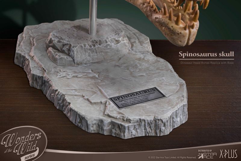 Wonder Wild Series Statue - Tyrannosaurus / Spinosaurus Skull Fossil