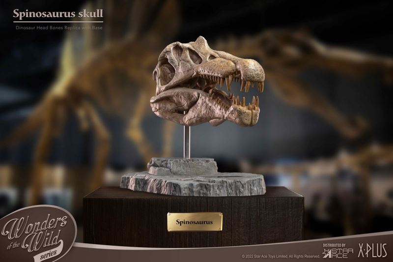 Wonder Wild Series Statue - Tyrannosaurus / Spinosaurus Skull Fossil