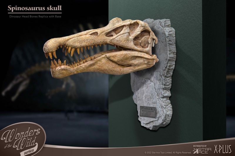 Wonder Wild Series Statue - Tyrannosaurus / Spinosaurus Skull Fossil