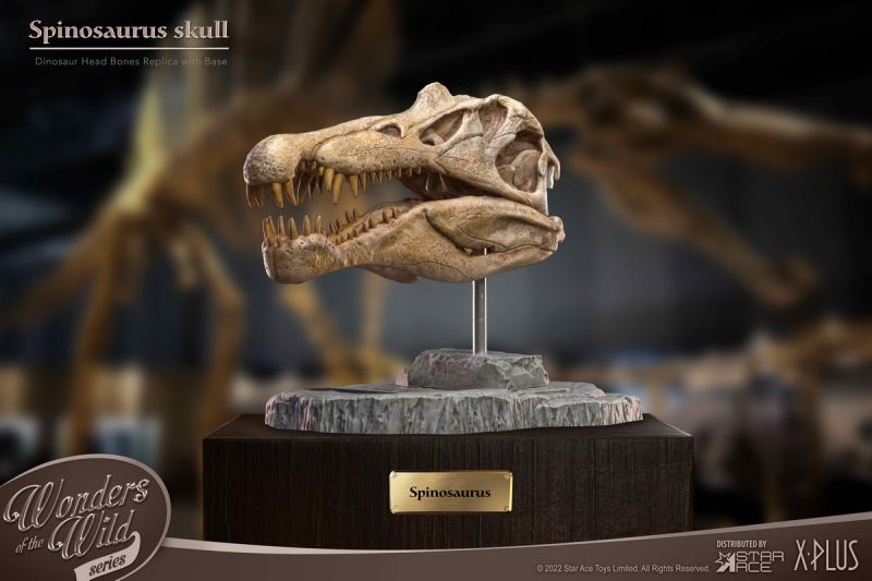 Wonder Wild Series Statue - Tyrannosaurus / Spinosaurus Skull Fossil