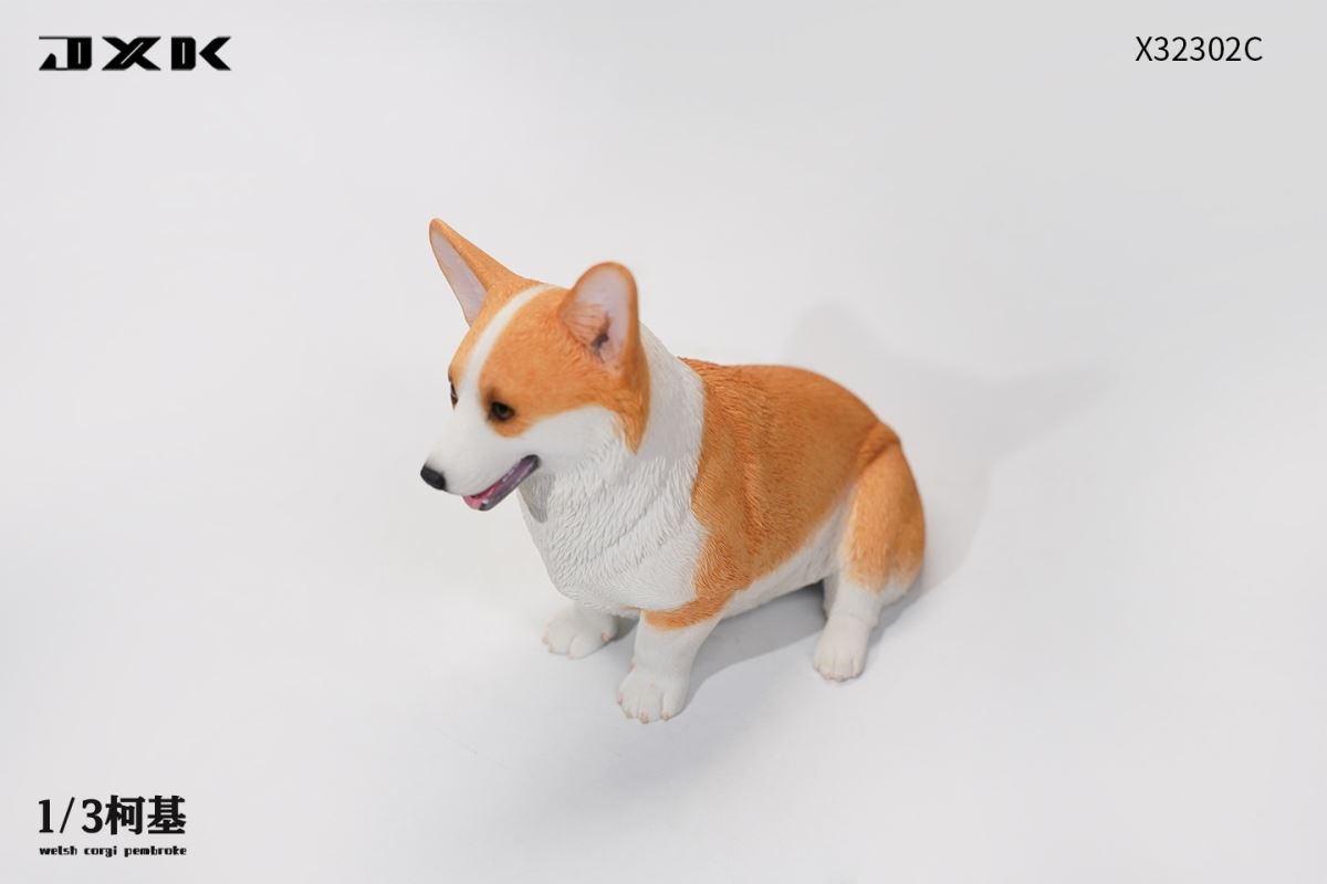 Corgi (X32302) 1/3