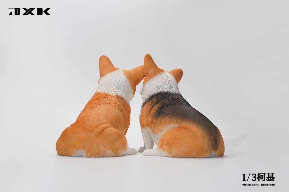 Corgi (X32302) 1/3