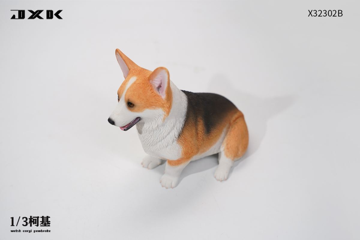 Corgi (X32302) 1/3
