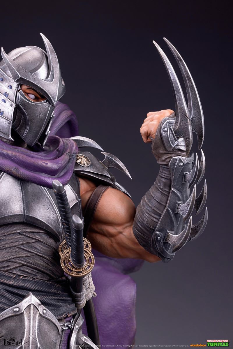 Teenage Mutant Ninja Turtles: Age of Mutants - Shredder 1/3