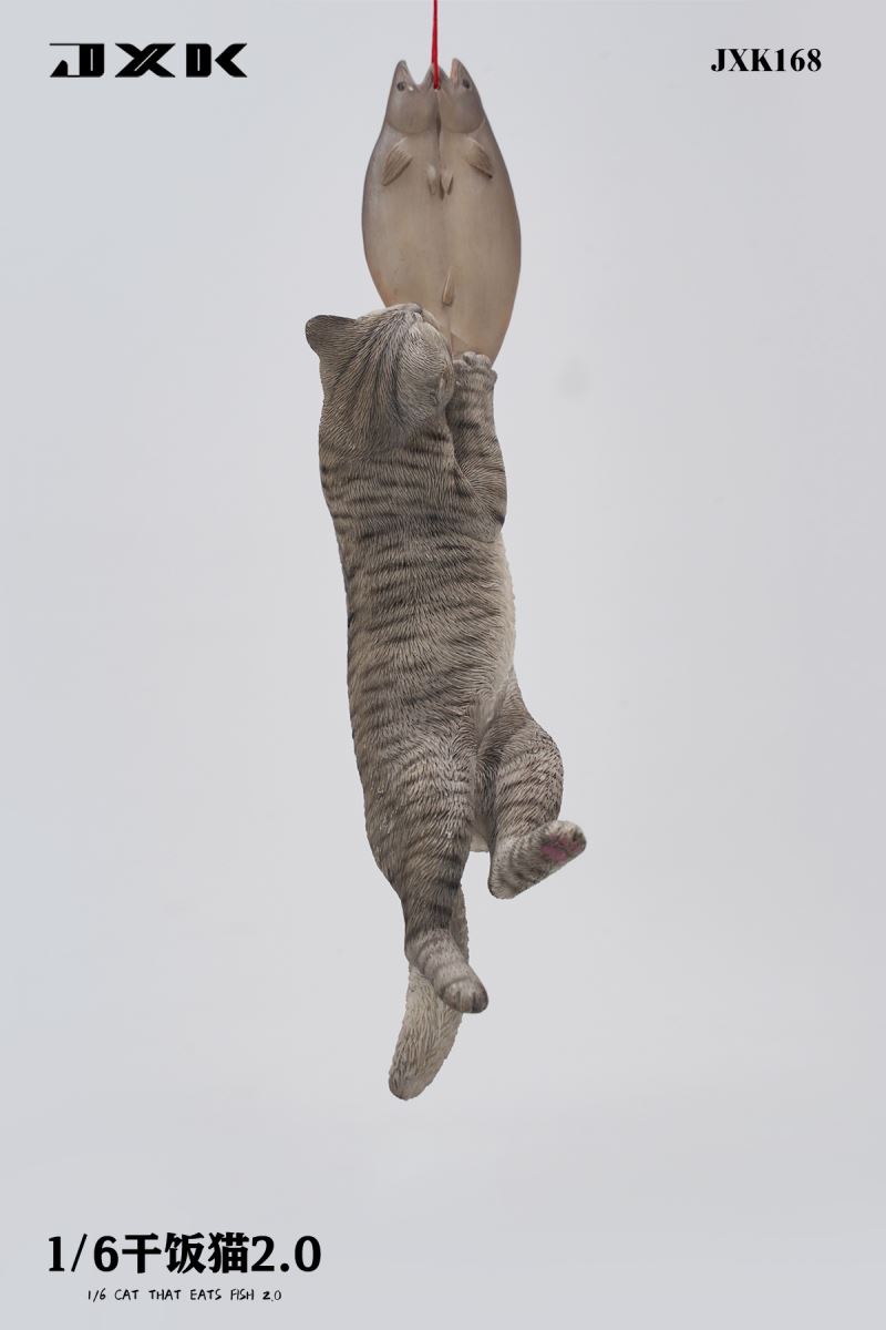 Drought Cat 2.0 (JXK168) 1/6