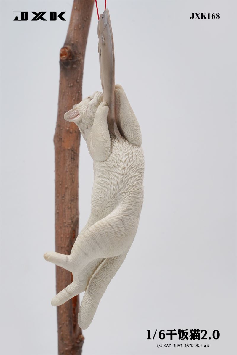 Drought Cat 2.0 (JXK168) 1/6