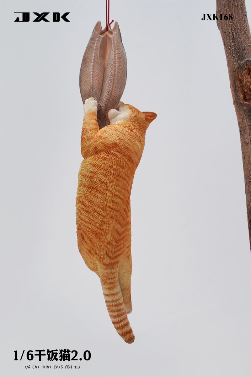 Drought Cat 2.0 (JXK168) 1/6