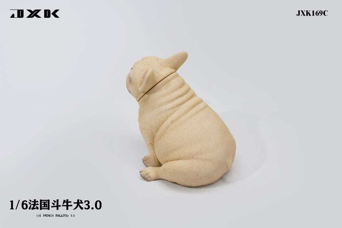 French Bulldog 3.0 (JXK169) 1/6