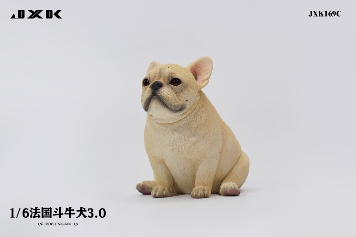French Bulldog 3.0 (JXK169) 1/6