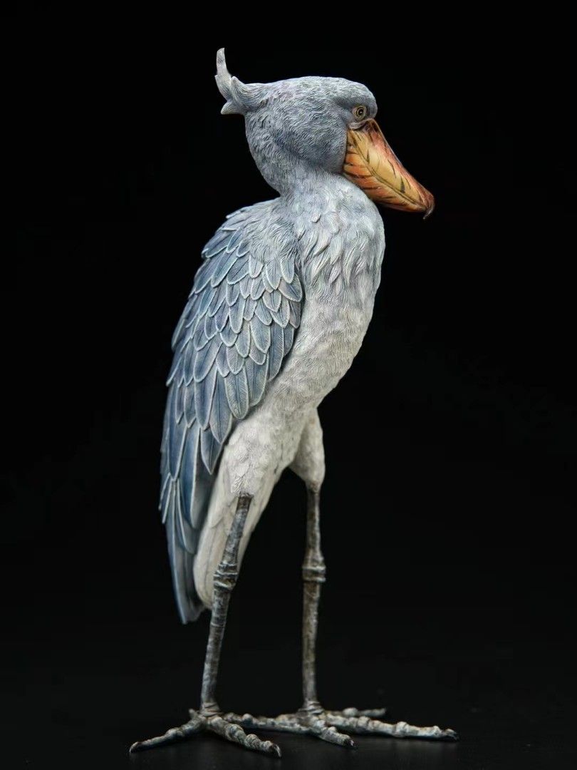 Shoebill Stork