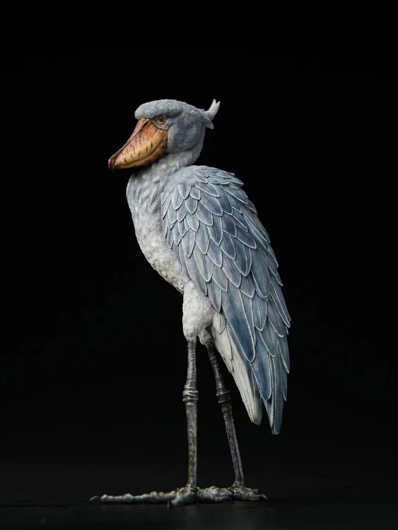 Shoebill Stork