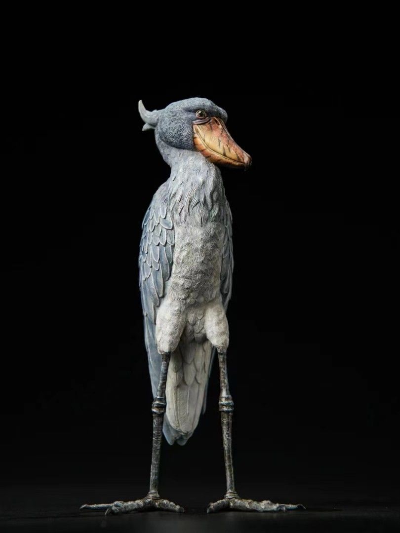 Shoebill Stork