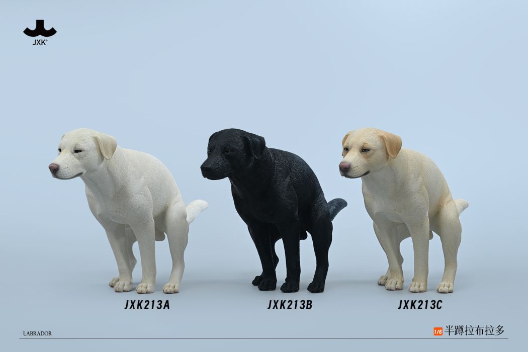 Labrador 1/6