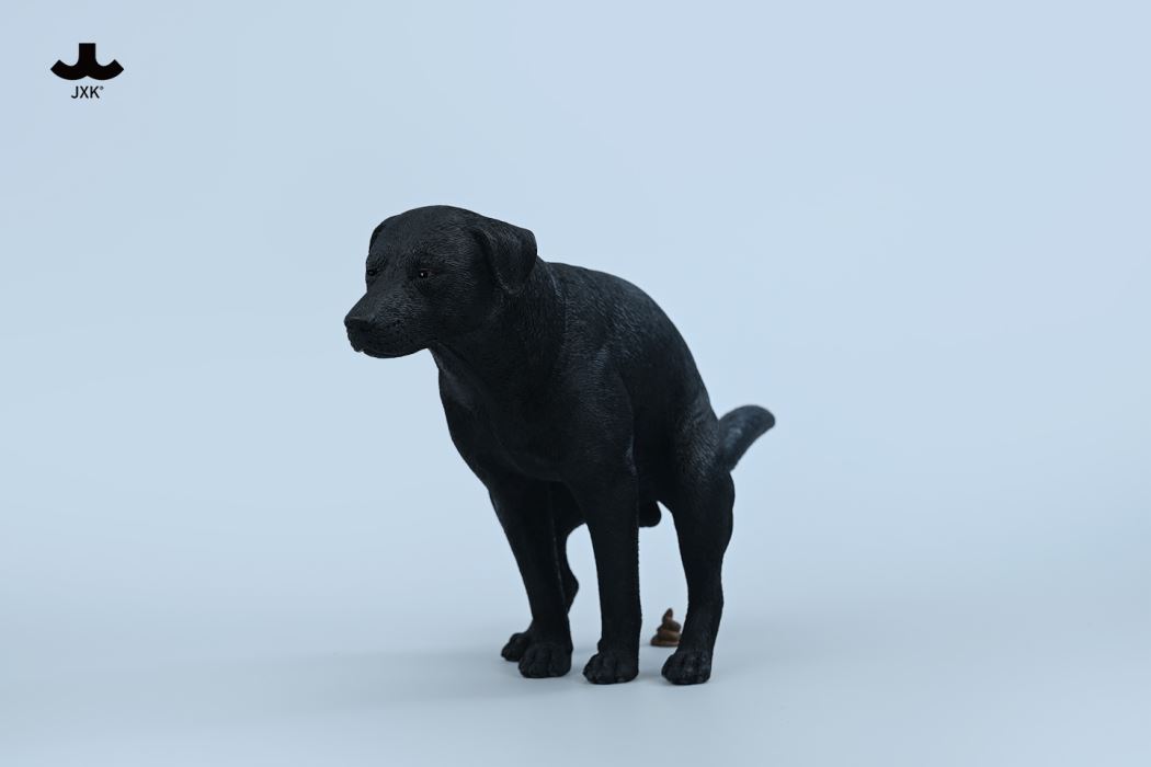 Labrador 1/6