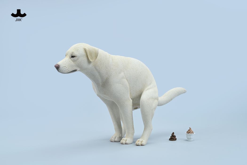 Labrador 1/6