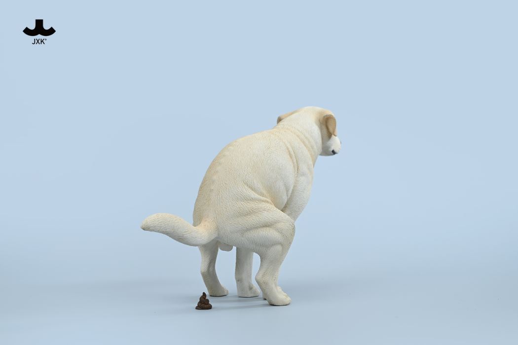 Labrador 1/6