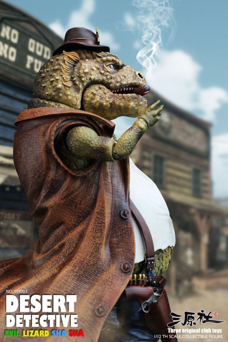 Desert Detective 1/12