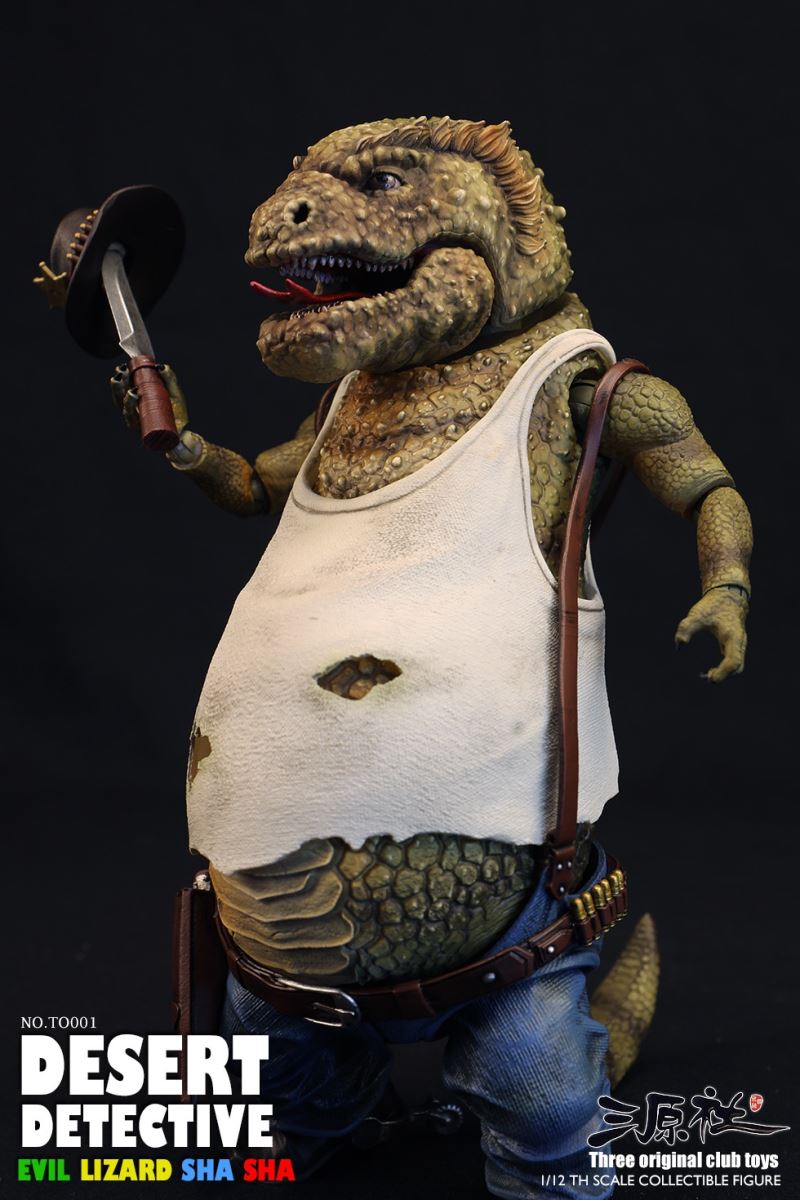 Desert Detective 1/12