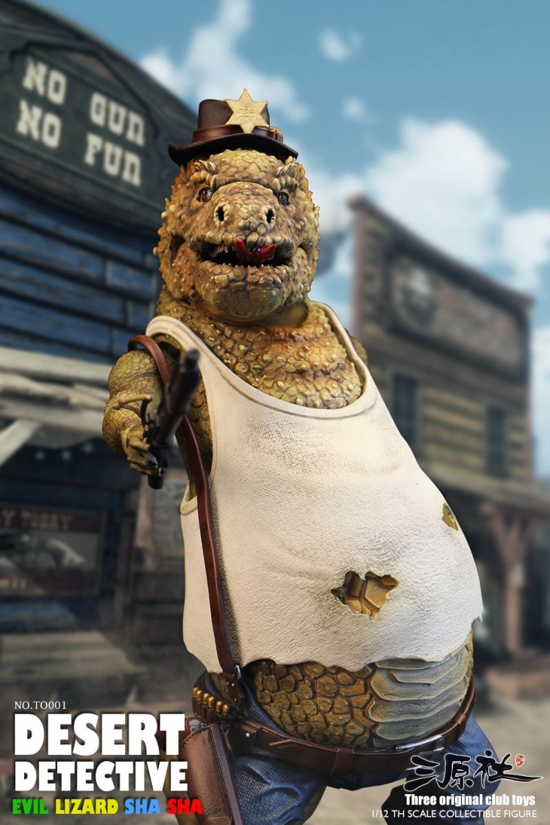 Desert Detective 1/12