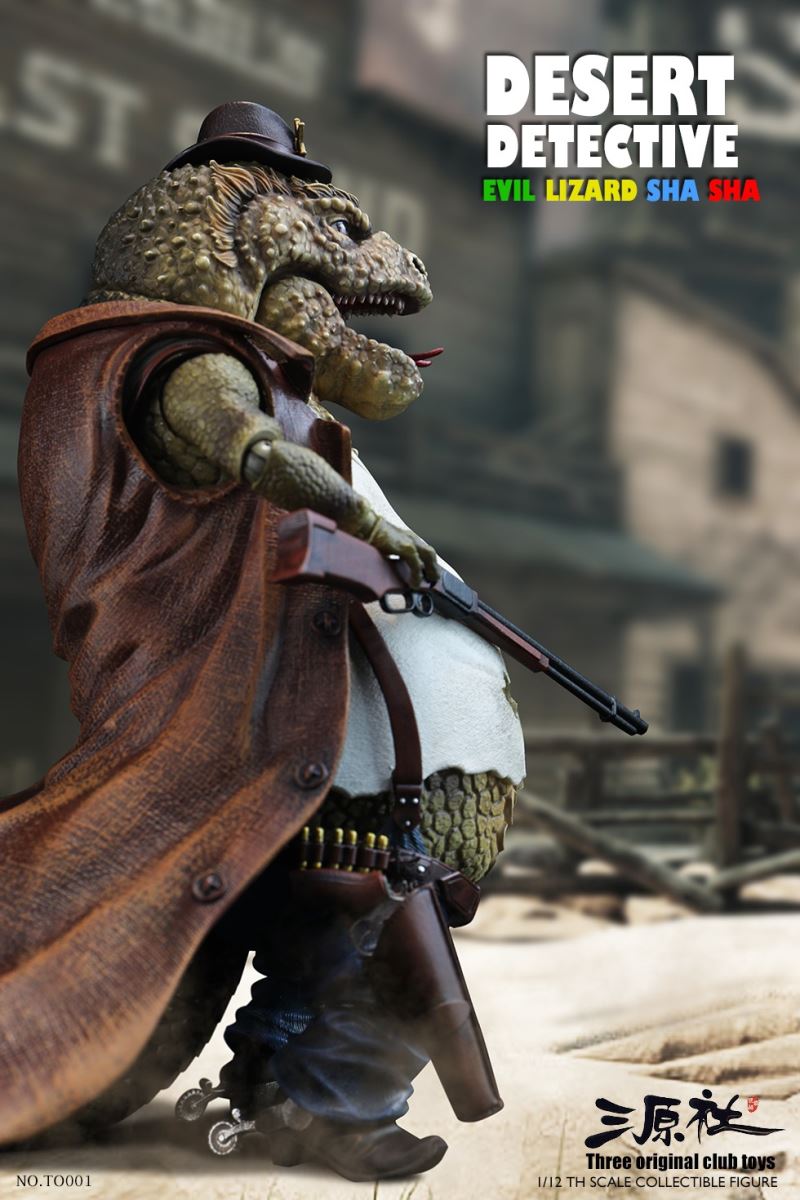 Desert Detective 1/12