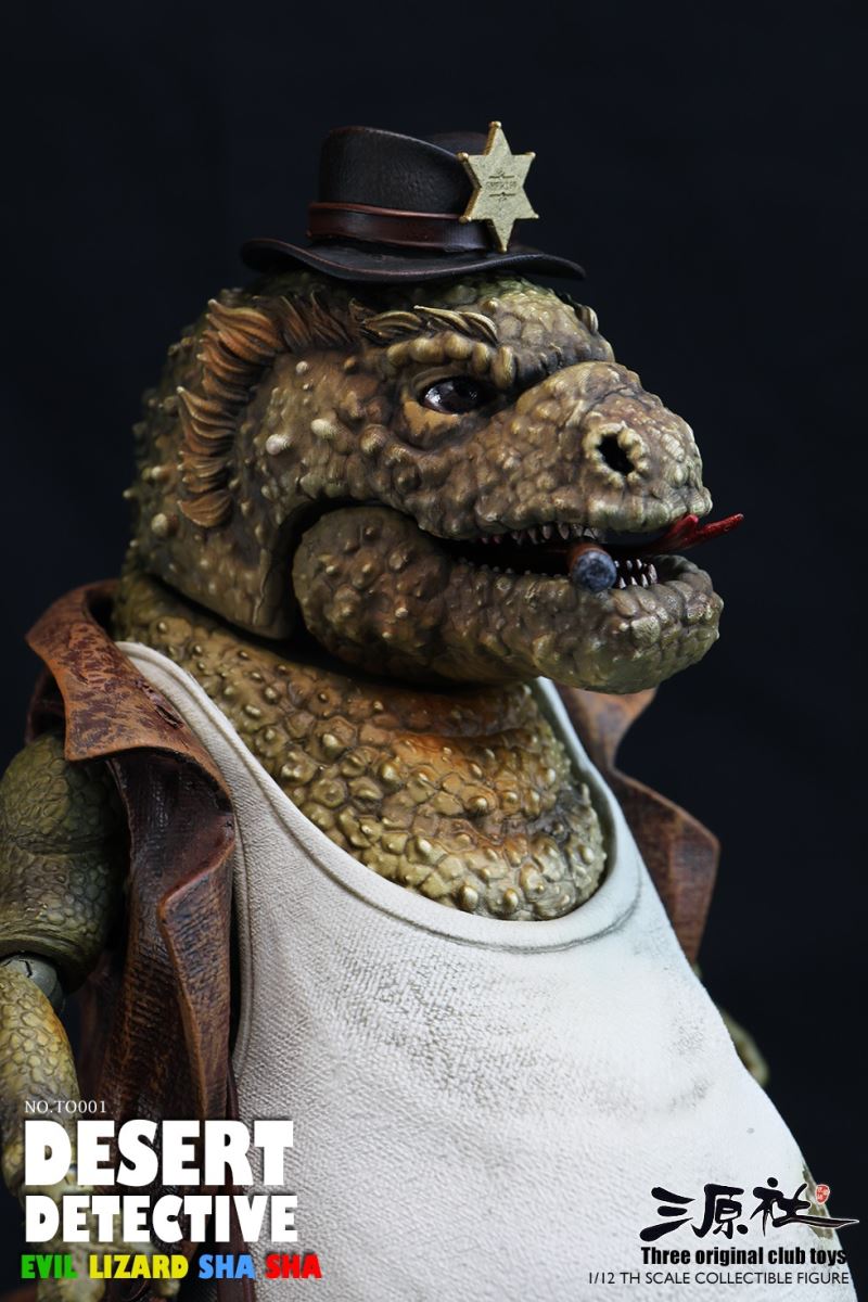 Desert Detective 1/12