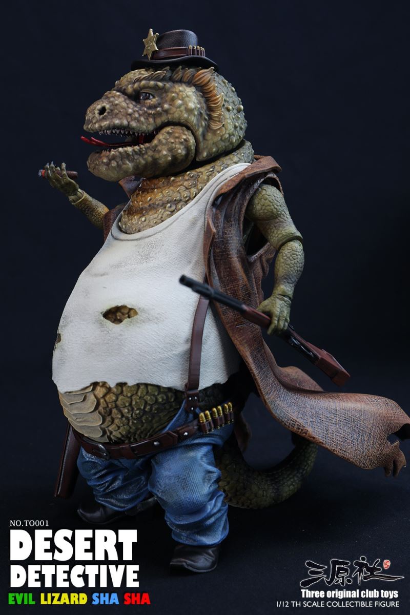 Desert Detective 1/12