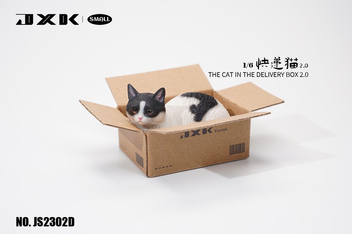 The Cat In The Delivery Box 2.0 1/6