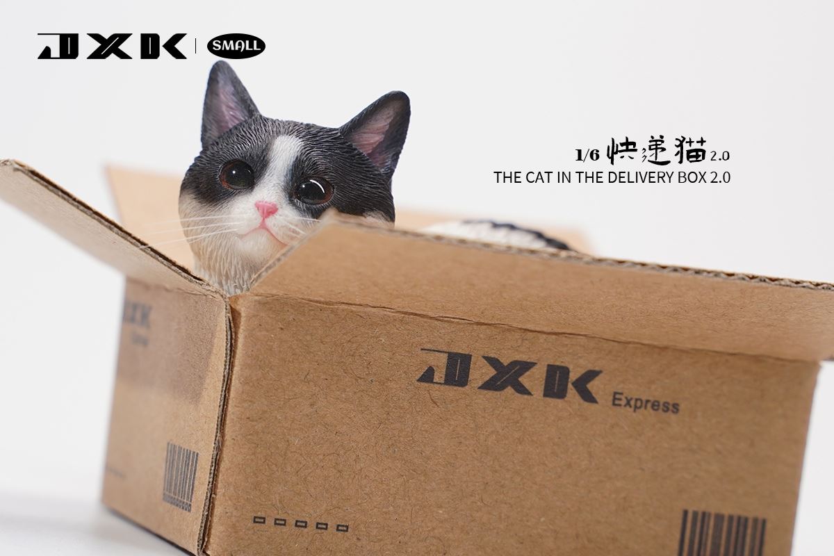 The Cat In The Delivery Box 2.0 1/6