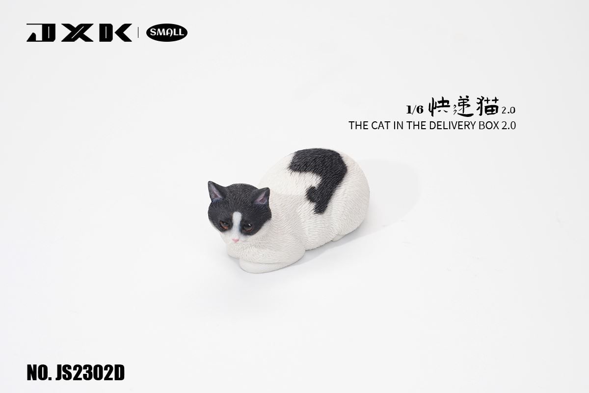 The Cat In The Delivery Box 2.0 1/6