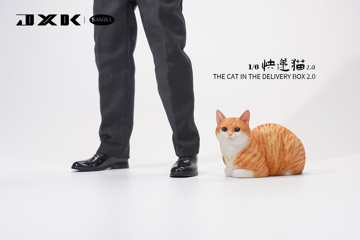 The Cat In The Delivery Box 2.0 1/6