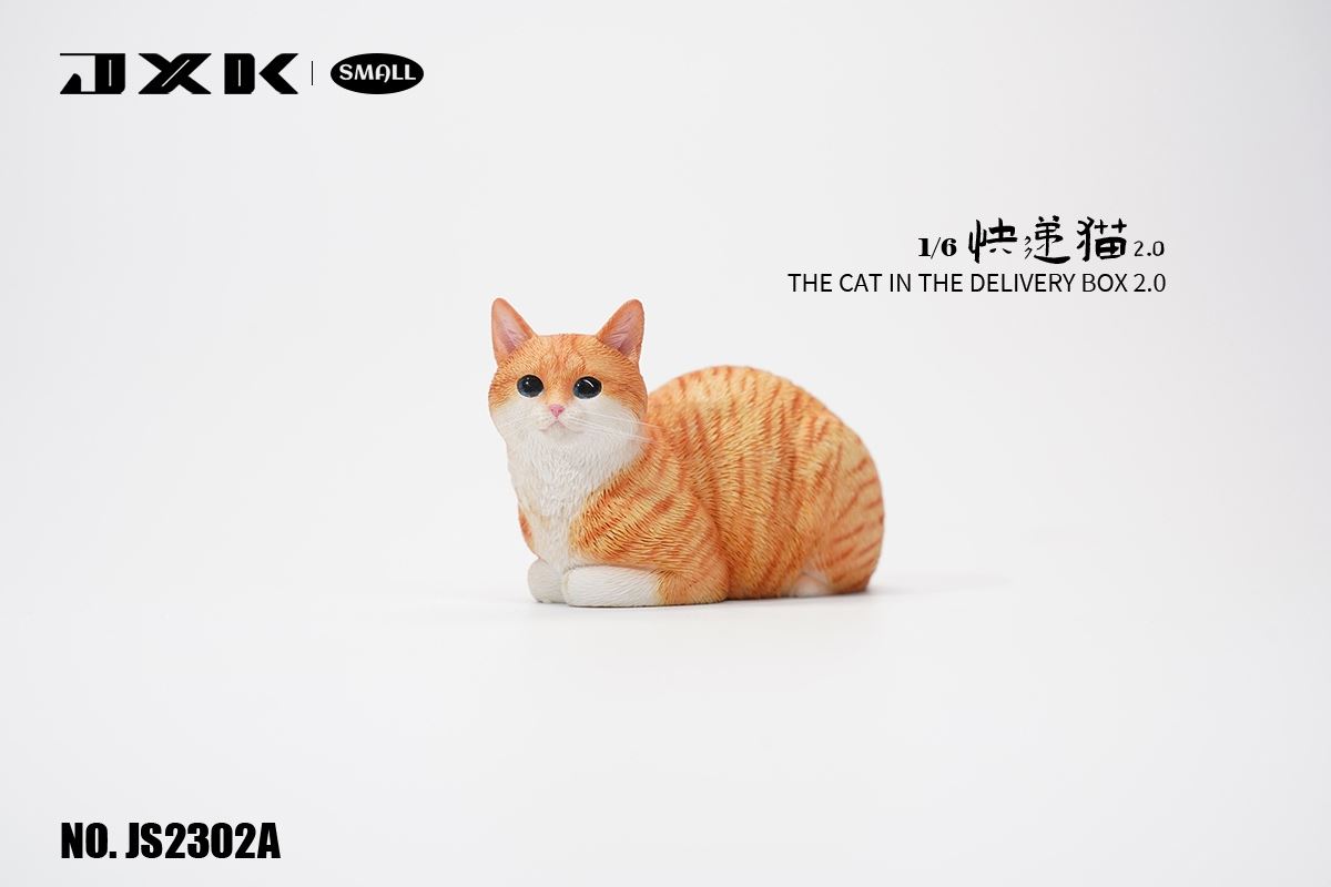 The Cat In The Delivery Box 2.0 1/6