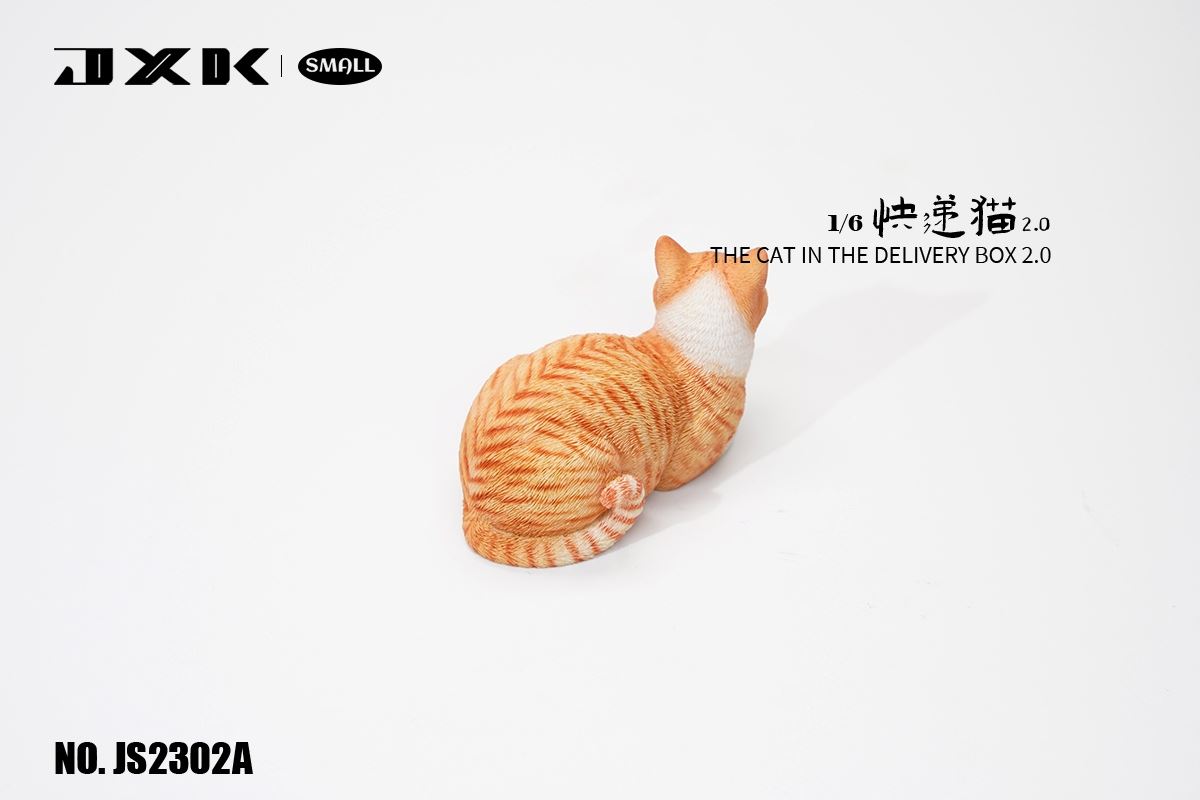 The Cat In The Delivery Box 2.0 1/6