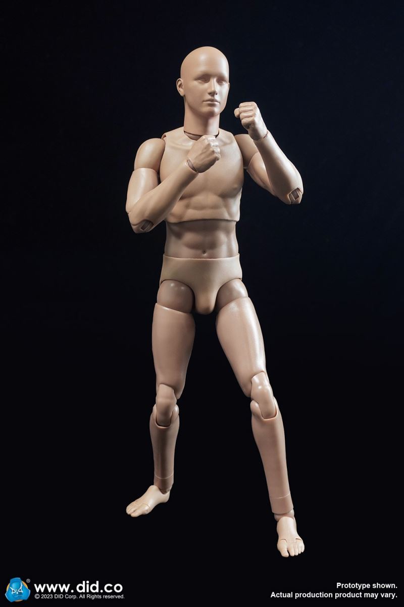 A-type body standard version 2.0 1/6