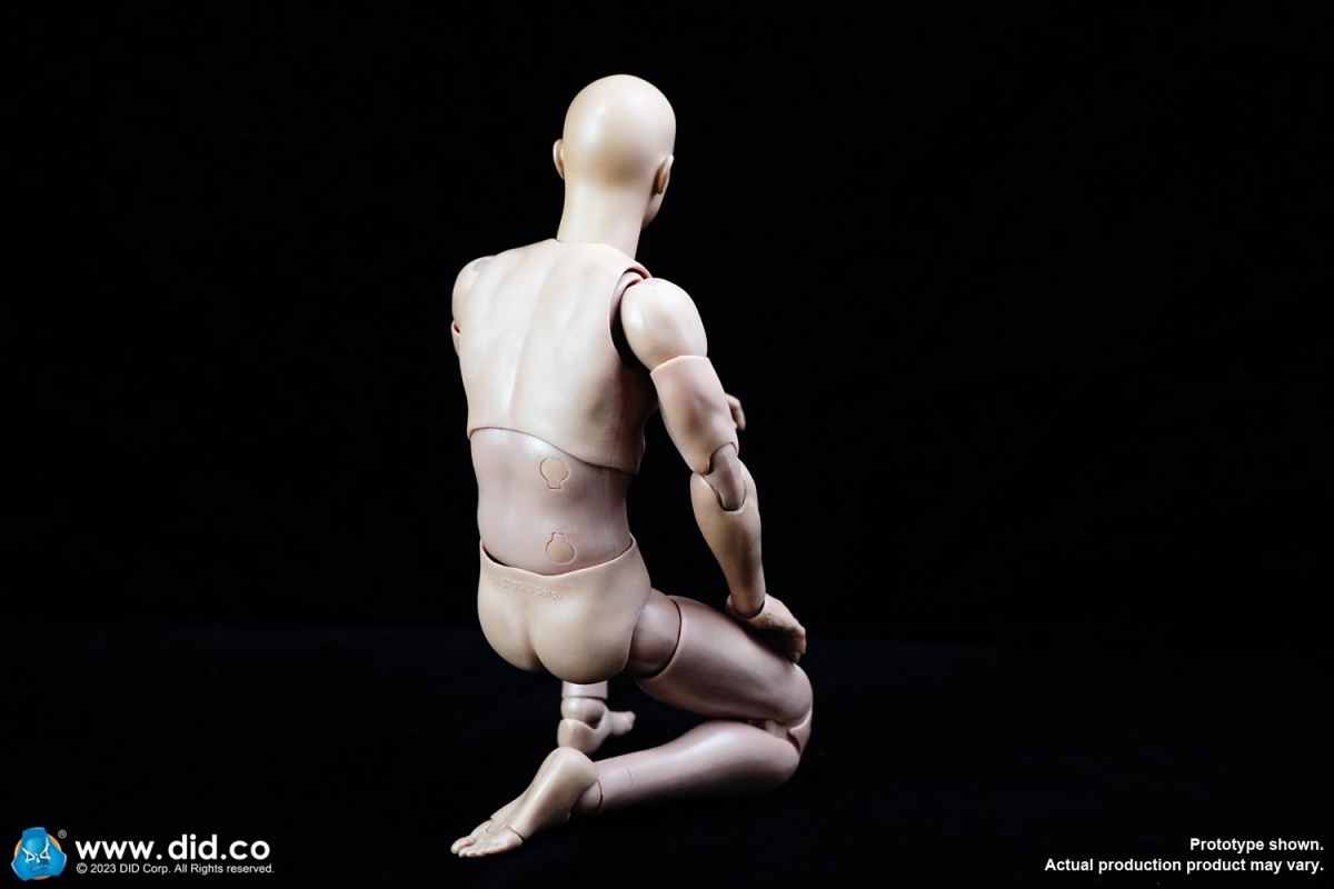 A-type body standard version 2.0 1/6