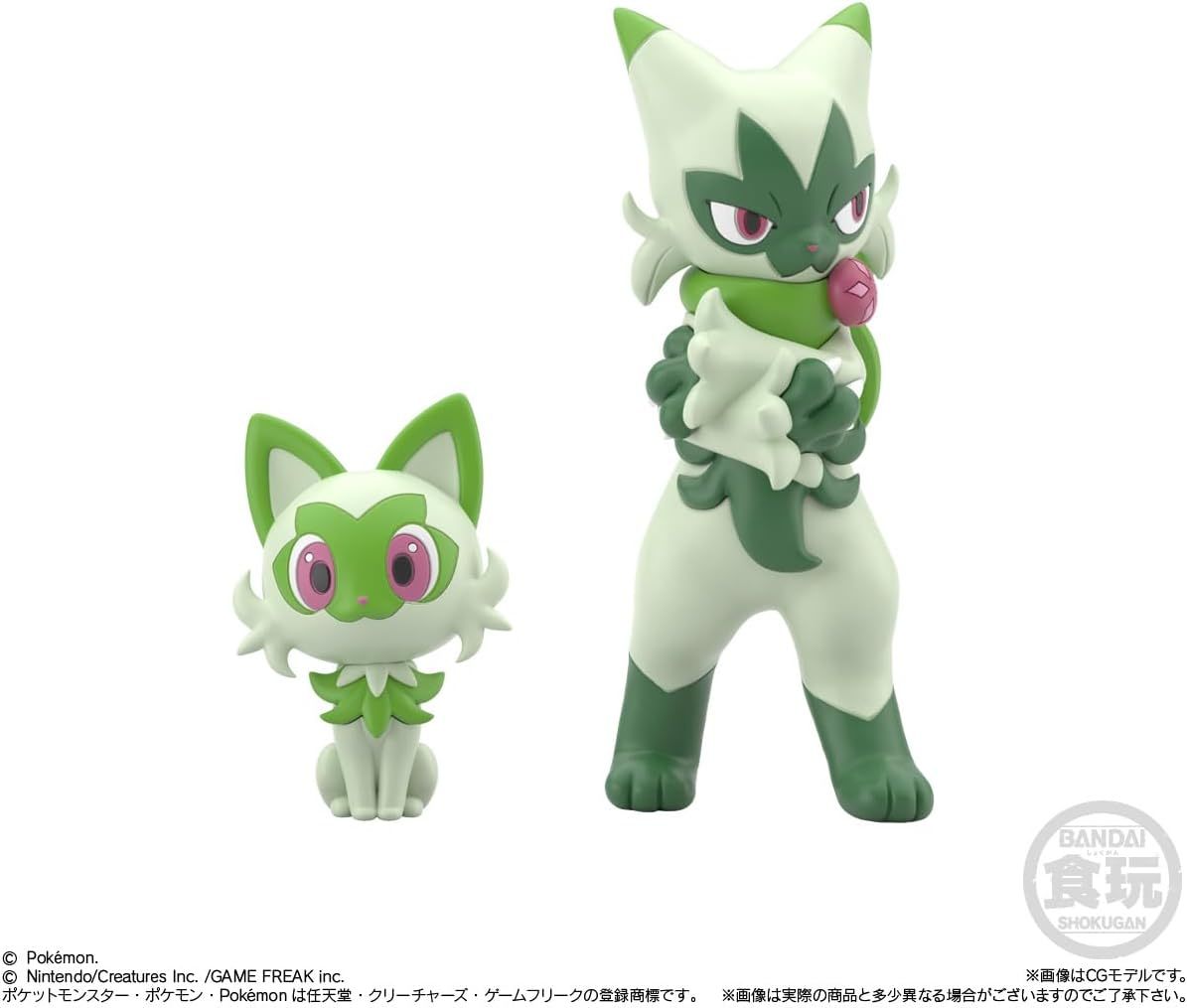 Pokemon Scale World Pardea Local