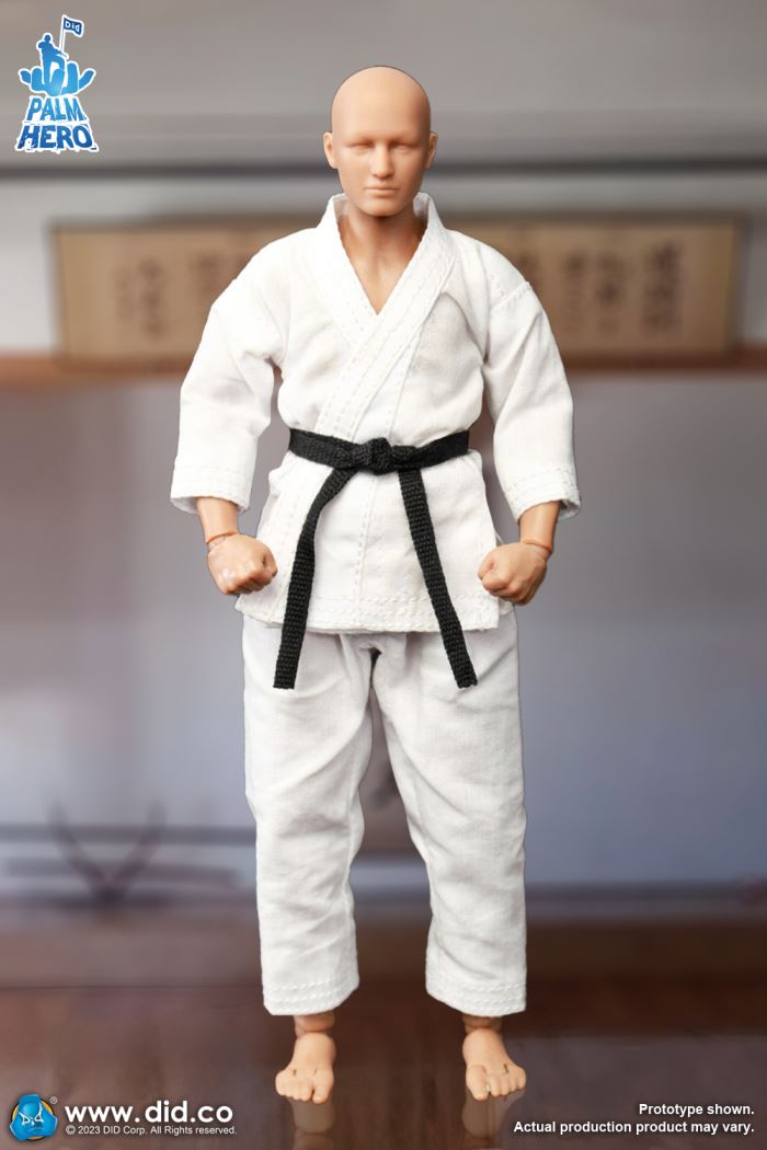 Handheld Hero Series Zhenle Series Karate Player 1/12