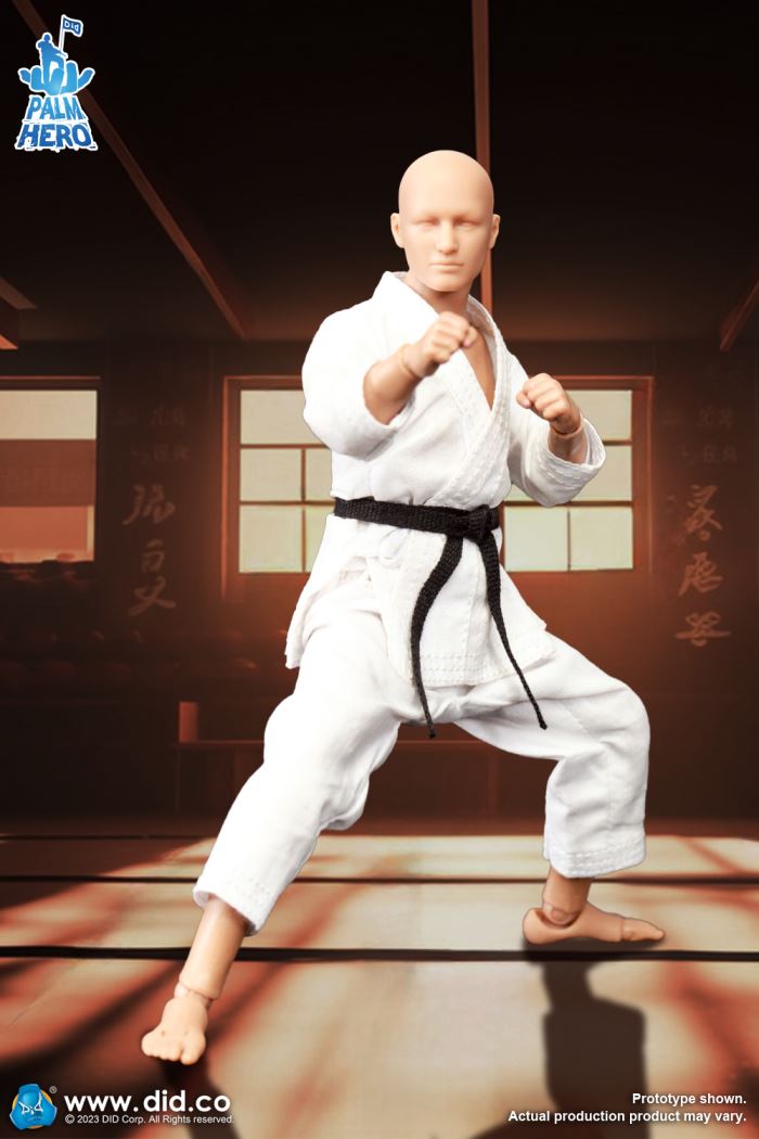 Handheld Hero Series Zhenle Series Karate Player 1/12